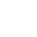 Visa de Fiancé-Icone